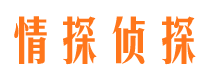 印江市私家侦探